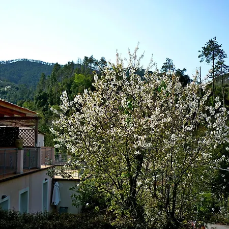 Apart Otel Costa Morroni Levanto