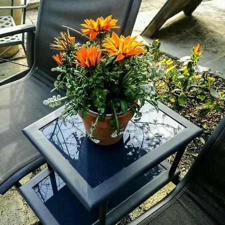 Hotel apartamentowy Costa Morroni Levanto