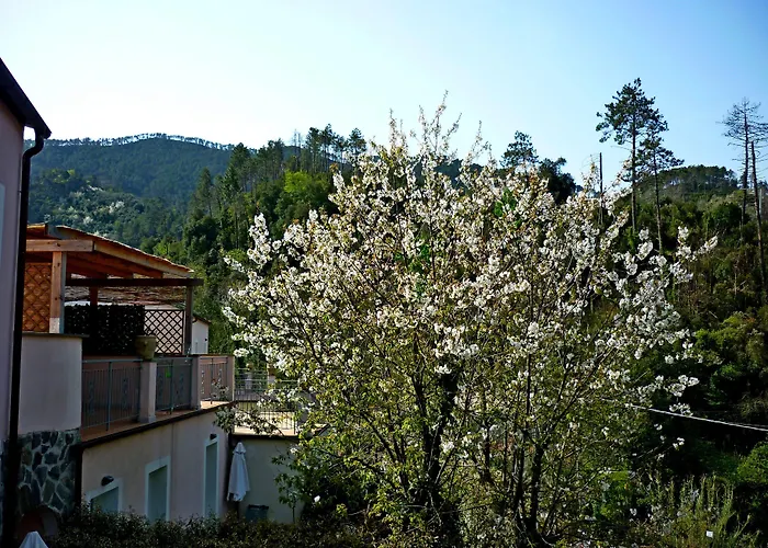 Aparthotel Costa Morroni Levanto