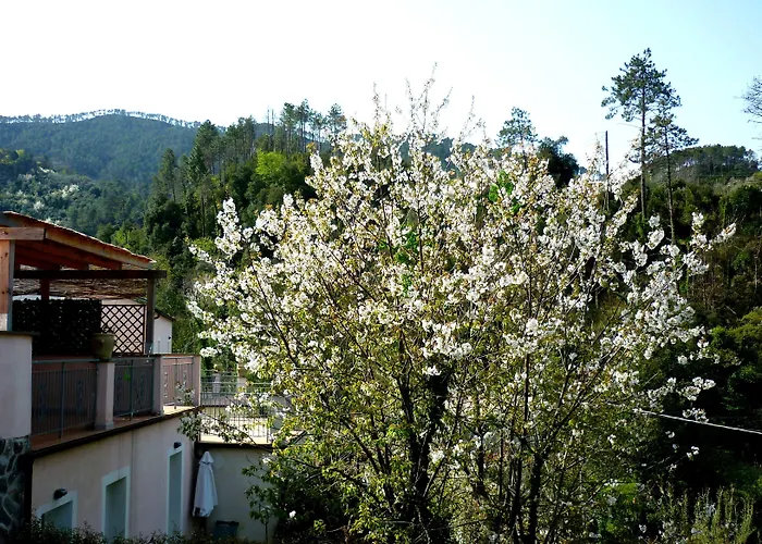 Aparthotel Costa Morroni Levanto