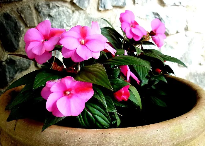 Costa Morroni Levanto