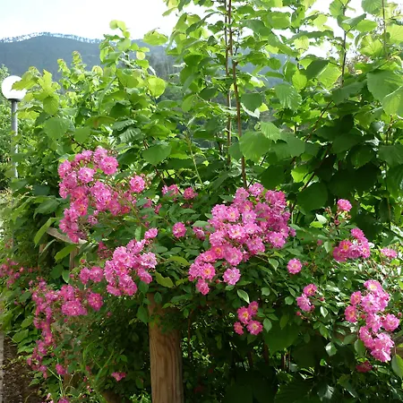 Costa Morroni 아파트호텔 레반토