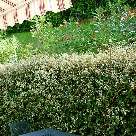 아파트호텔 Costa Morroni