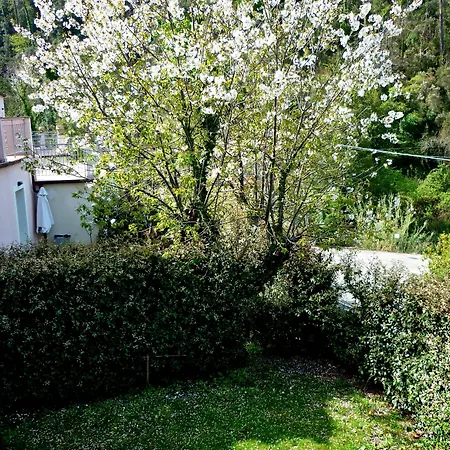 Costa Morroni 레반토