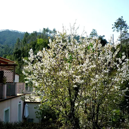 아파트호텔 Costa Morroni 레반토