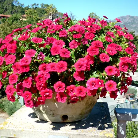 Costa Morroni 3*