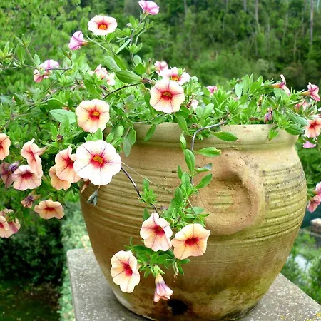 Costa Morroni 아파트호텔 레반토