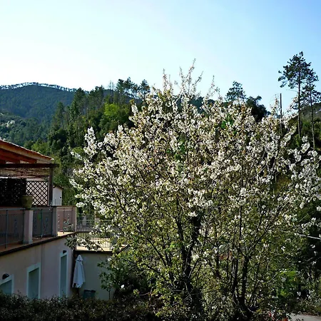 Appart hôtel Costa Morroni 3*