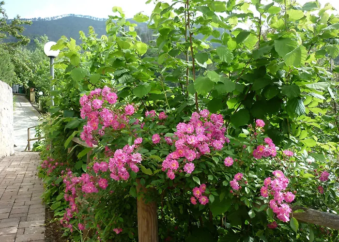 Costa Morroni Aparthotel Levanto