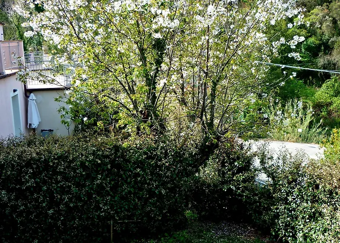 Costa Morroni Levanto