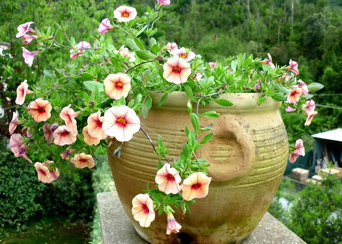 Costa Morroni Апарт-отель Леванто