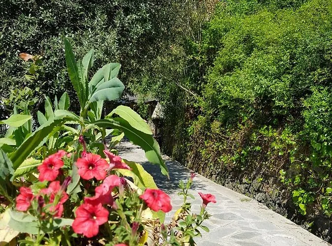 Costa Morroni Aparthotel Levanto