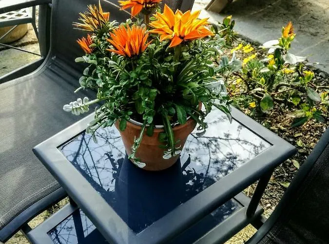 Aparthotel Costa Morroni Levanto